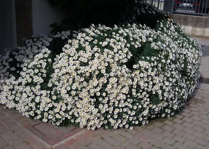 Szálloda Cinzia Porto Garibaldi